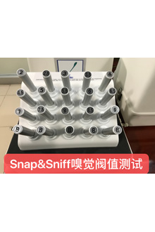 Snap&Sniff嗅觉阈值测试